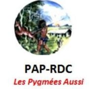 PAP RDC